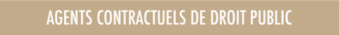 Rubrique Agents contractuels de droit public