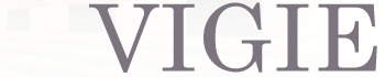 VIGIE-DGAFP