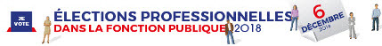 Bandeau &eacute;lections professionnelles